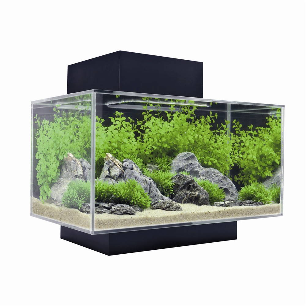 Quelle taille d’aquarium choisir quand on est débutant ?