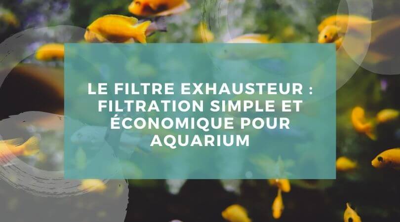 Filtre Exhausteur pour Aquarium