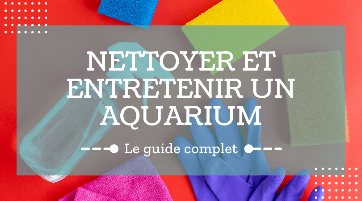 Le guide pour nettoyer un aquarium d