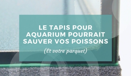 Le tapis pour aquarium pourrait sauver vos poissons (et votre parquet !)